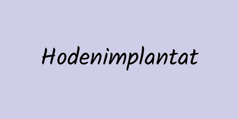 Hodenimplantat