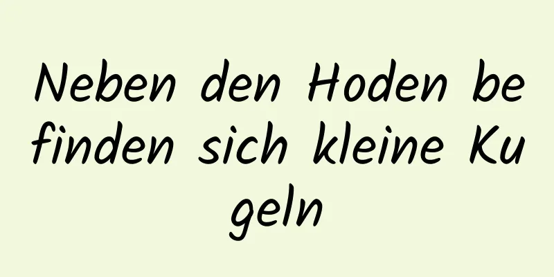 Neben den Hoden befinden sich kleine Kugeln