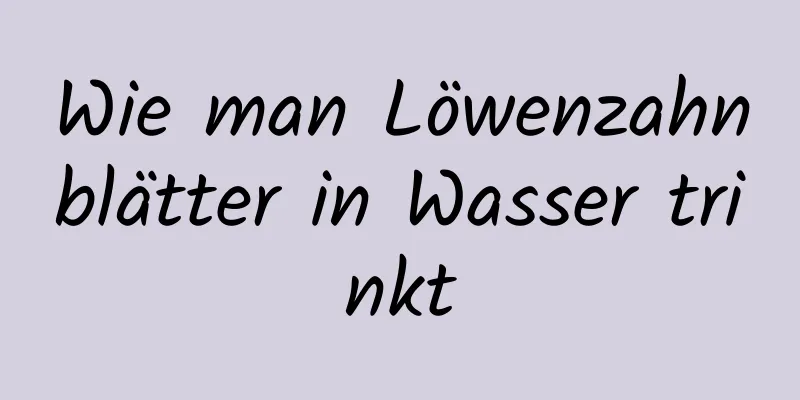 Wie man Löwenzahnblätter in Wasser trinkt