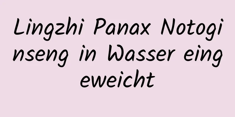 Lingzhi Panax Notoginseng in Wasser eingeweicht