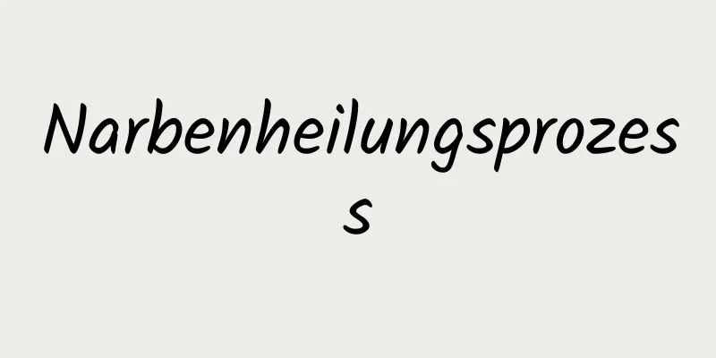 Narbenheilungsprozess