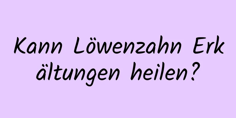 Kann Löwenzahn Erkältungen heilen?