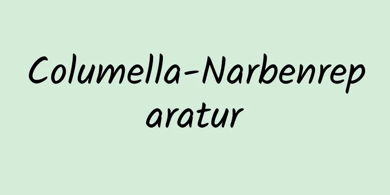 Columella-Narbenreparatur