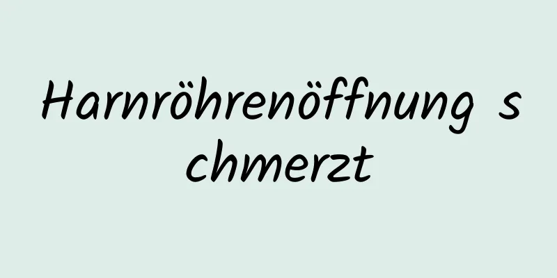 Harnröhrenöffnung schmerzt