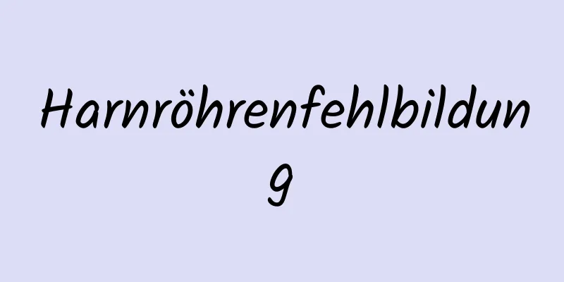 Harnröhrenfehlbildung