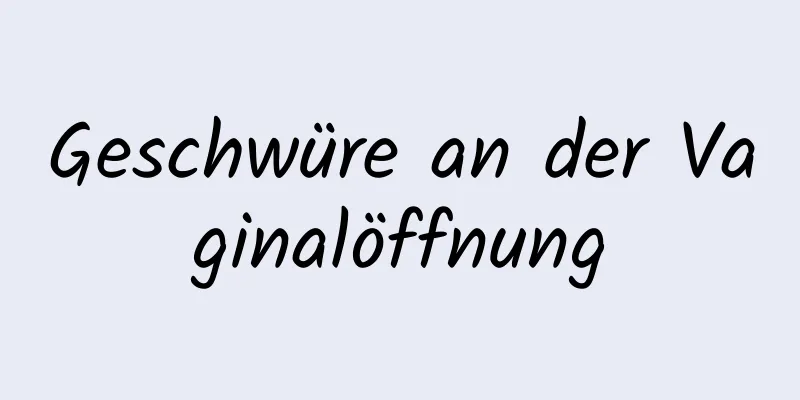 Geschwüre an der Vaginalöffnung