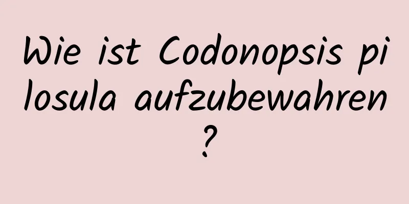 Wie ist Codonopsis pilosula aufzubewahren?