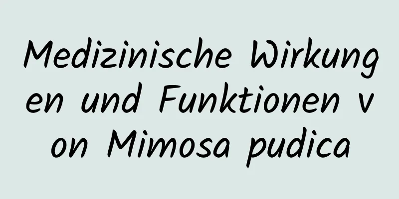 Medizinische Wirkungen und Funktionen von Mimosa pudica