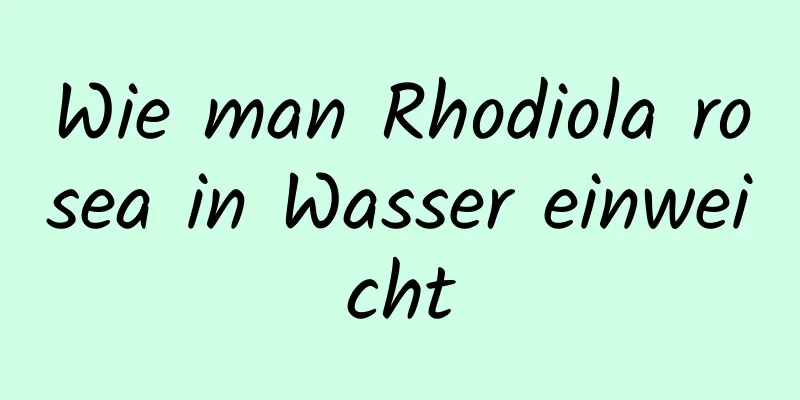 Wie man Rhodiola rosea in Wasser einweicht