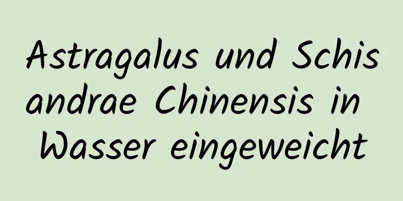 Astragalus und Schisandrae Chinensis in Wasser eingeweicht