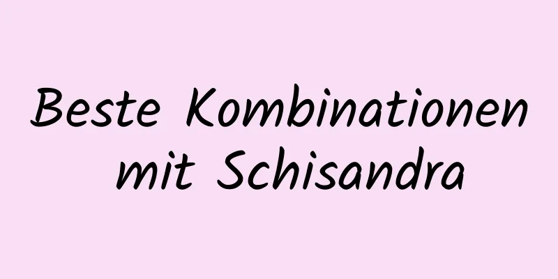 Beste Kombinationen mit Schisandra