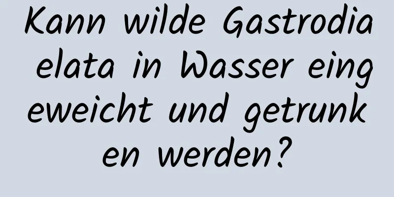 Kann wilde Gastrodia elata in Wasser eingeweicht und getrunken werden?