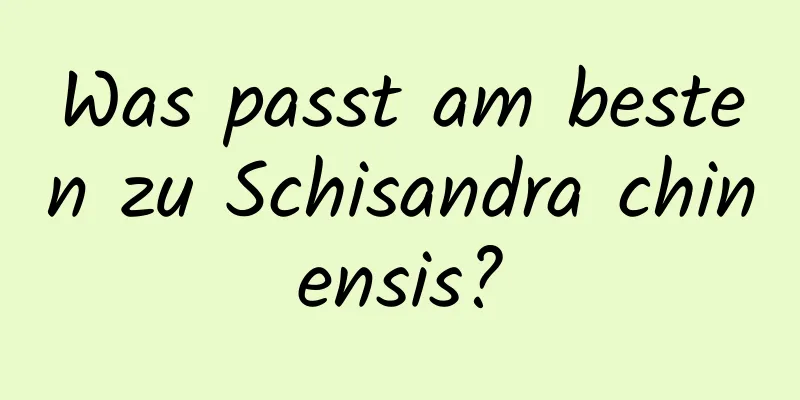 Was passt am besten zu Schisandra chinensis?