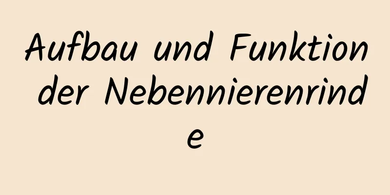 Aufbau und Funktion der Nebennierenrinde