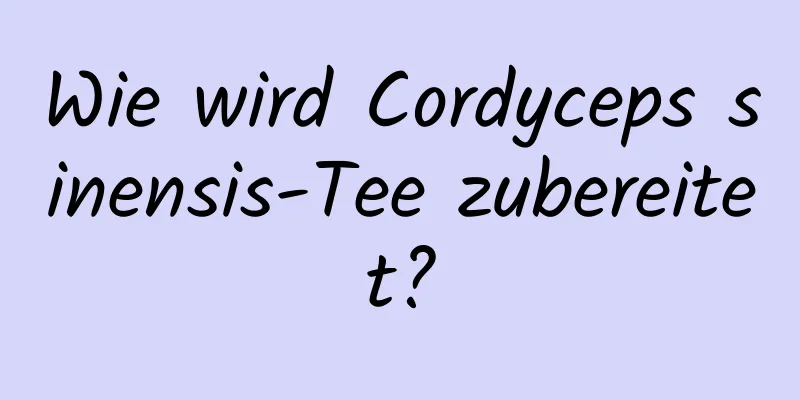 Wie wird Cordyceps sinensis-Tee zubereitet?