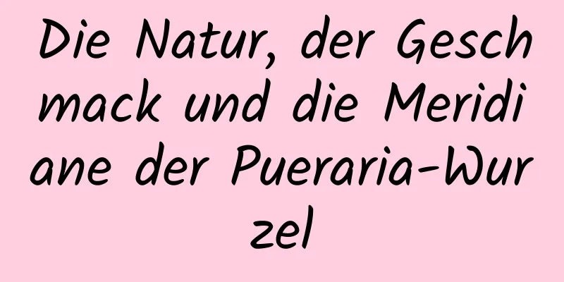 Die Natur, der Geschmack und die Meridiane der Pueraria-Wurzel