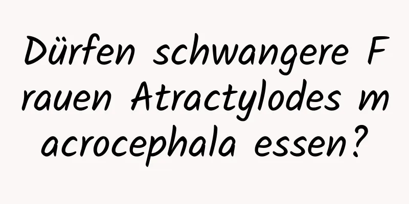 Dürfen schwangere Frauen Atractylodes macrocephala essen?