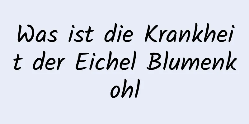 Was ist die Krankheit der Eichel Blumenkohl