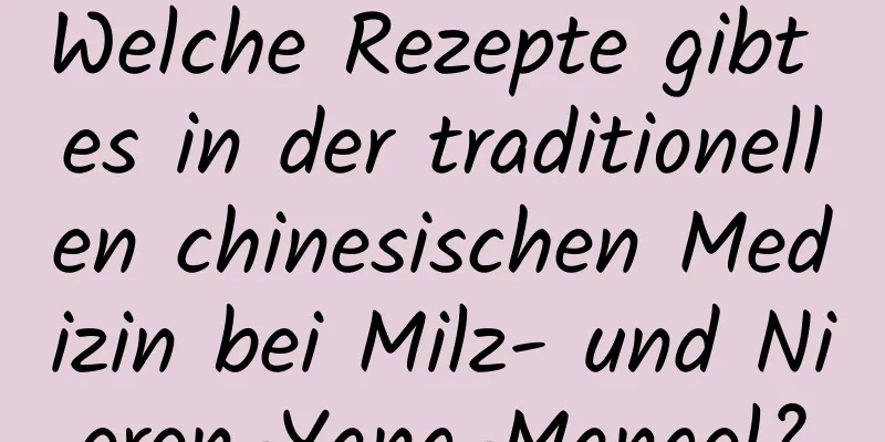 Welche Rezepte gibt es in der traditionellen chinesischen Medizin bei Milz- und Nieren-Yang-Mangel?