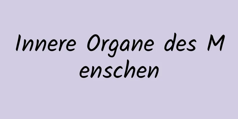 Innere Organe des Menschen