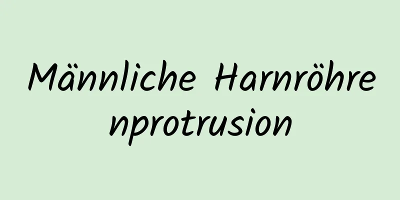 Männliche Harnröhrenprotrusion