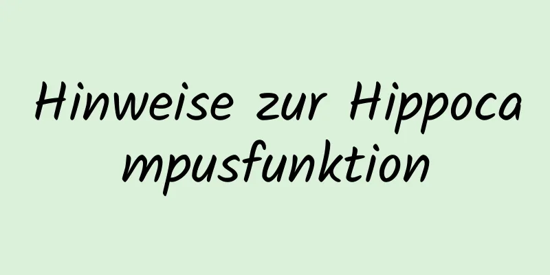 Hinweise zur Hippocampusfunktion