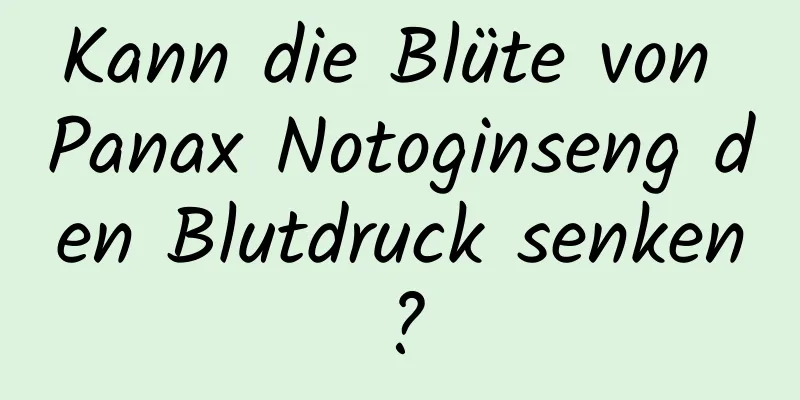 Kann die Blüte von Panax Notoginseng den Blutdruck senken?