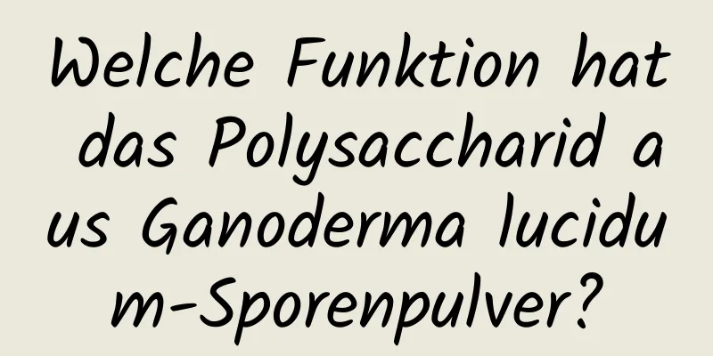 Welche Funktion hat das Polysaccharid aus Ganoderma lucidum-Sporenpulver?