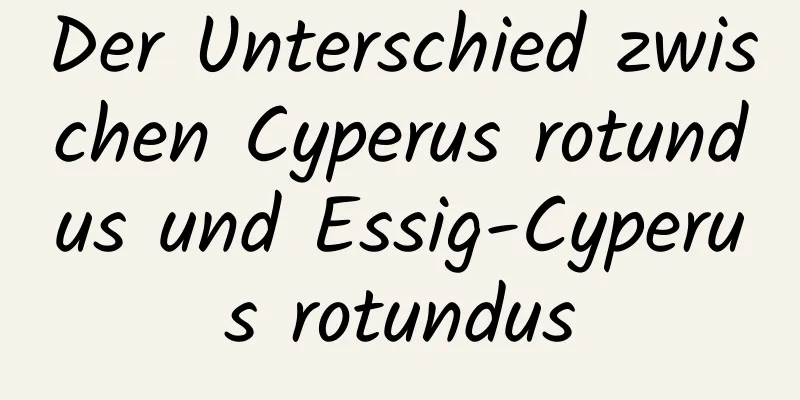 Der Unterschied zwischen Cyperus rotundus und Essig-Cyperus rotundus