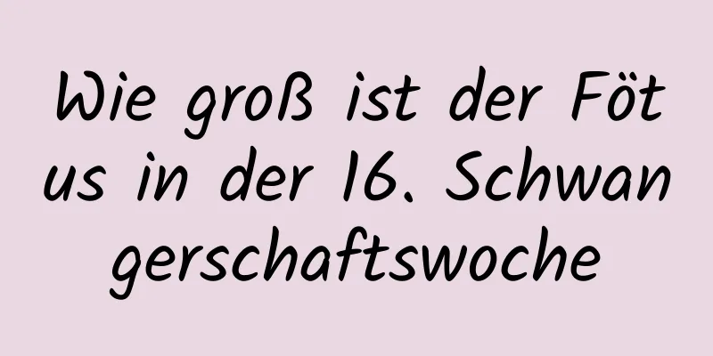 Wie groß ist der Fötus in der 16. Schwangerschaftswoche