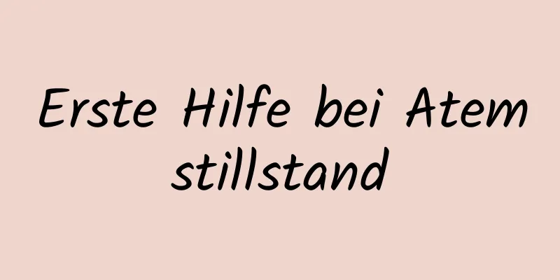 Erste Hilfe bei Atemstillstand