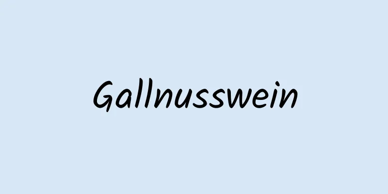 Gallnusswein