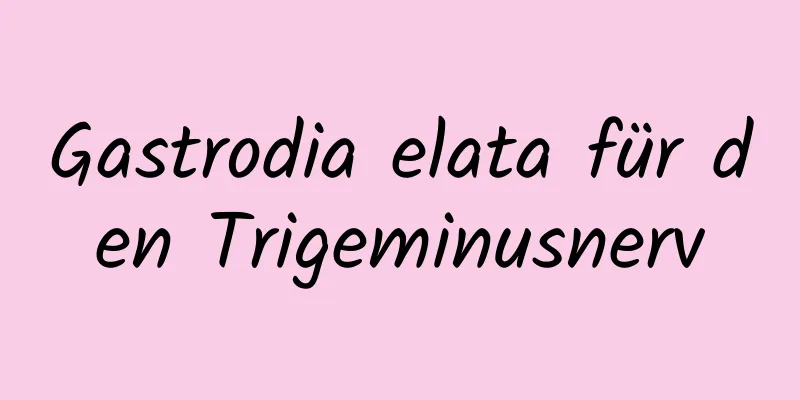 Gastrodia elata für den Trigeminusnerv