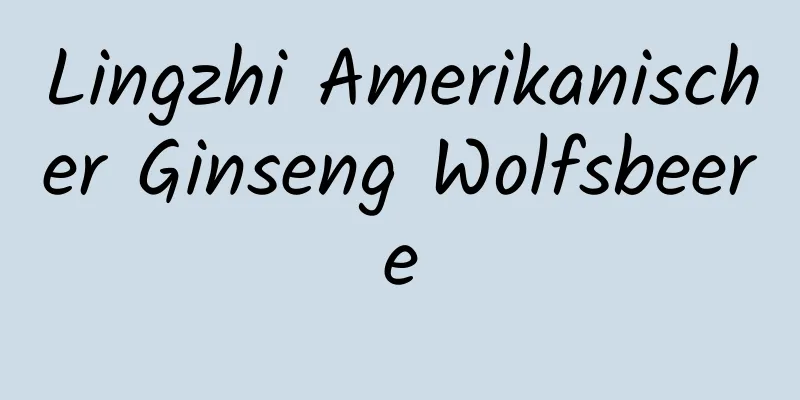 Lingzhi Amerikanischer Ginseng Wolfsbeere