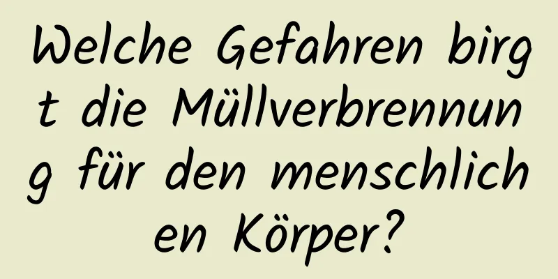 Welche Gefahren birgt die Müllverbrennung für den menschlichen Körper?