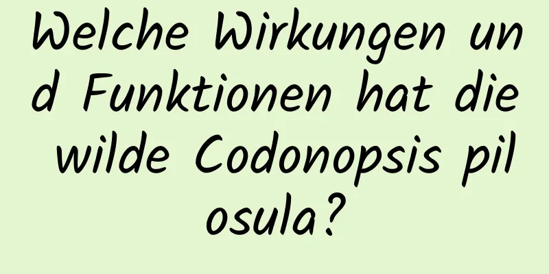 Welche Wirkungen und Funktionen hat die wilde Codonopsis pilosula?