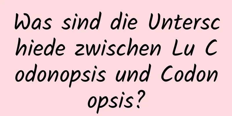 Was sind die Unterschiede zwischen Lu Codonopsis und Codonopsis?