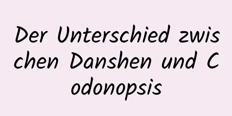 Der Unterschied zwischen Danshen und Codonopsis