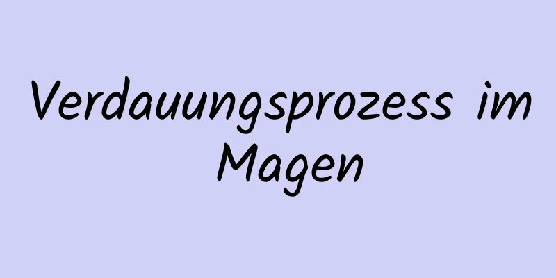 Verdauungsprozess im Magen