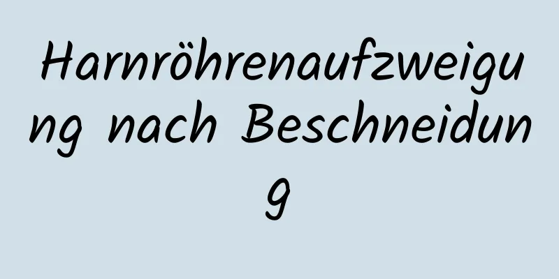 Harnröhrenaufzweigung nach Beschneidung