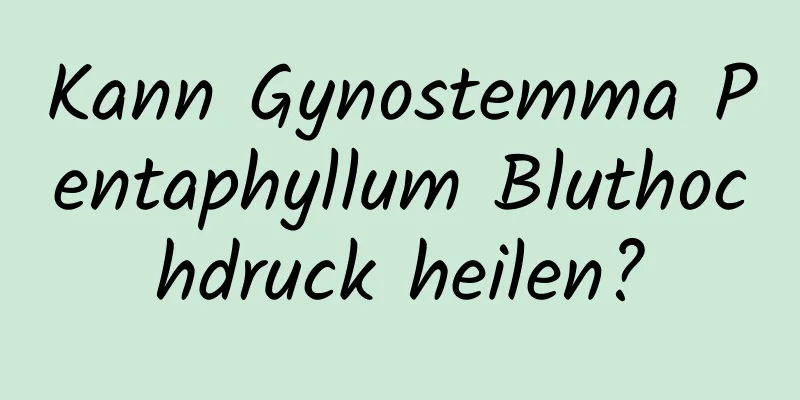 Kann Gynostemma Pentaphyllum Bluthochdruck heilen?