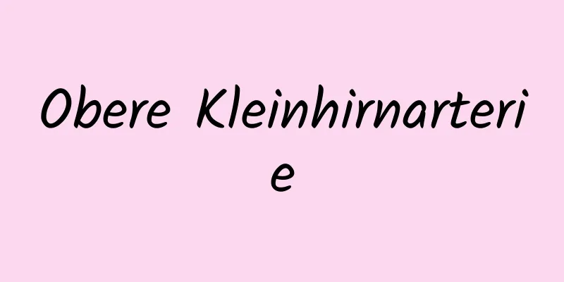 Obere Kleinhirnarterie