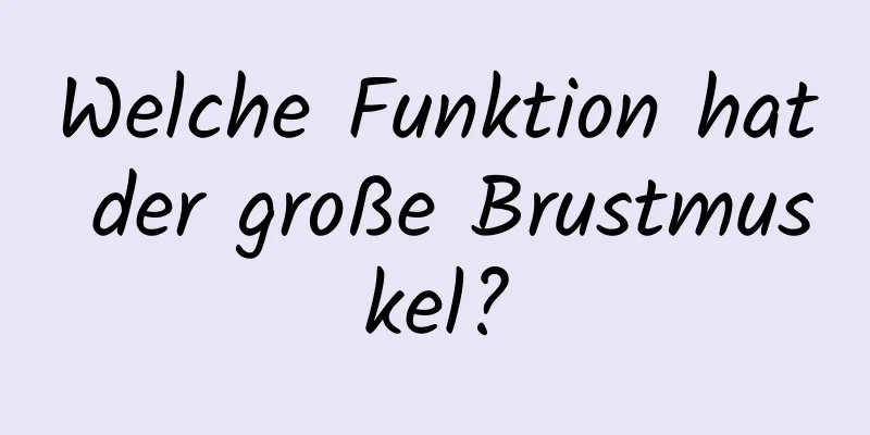 Welche Funktion hat der große Brustmuskel?