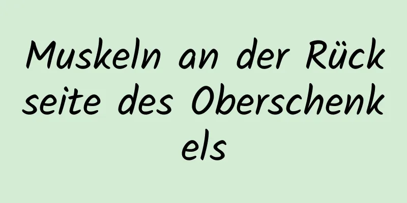 Muskeln an der Rückseite des Oberschenkels