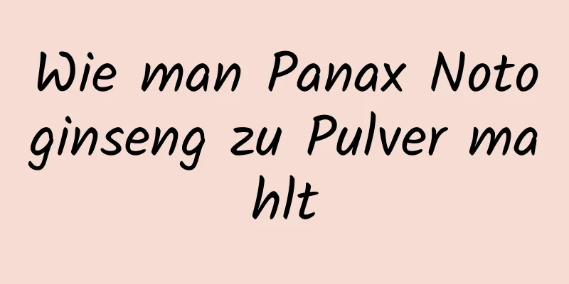 Wie man Panax Notoginseng zu Pulver mahlt