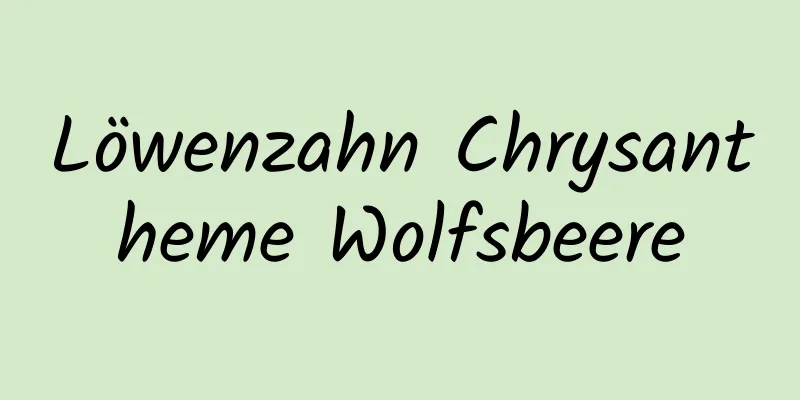 Löwenzahn Chrysantheme Wolfsbeere