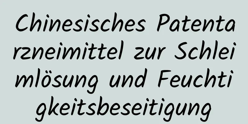 Chinesisches Patentarzneimittel zur Schleimlösung und Feuchtigkeitsbeseitigung