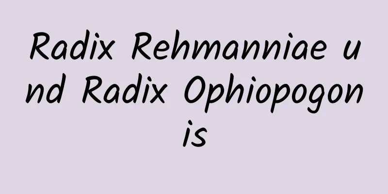 Radix Rehmanniae und Radix Ophiopogonis