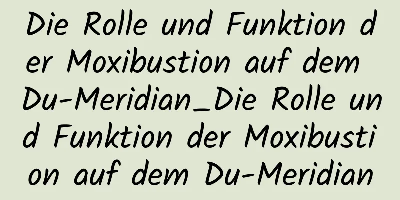 Die Rolle und Funktion der Moxibustion auf dem Du-Meridian_Die Rolle und Funktion der Moxibustion auf dem Du-Meridian