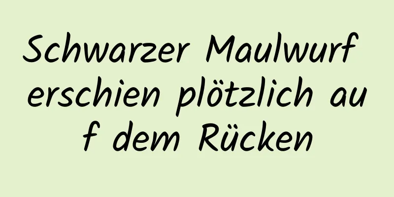 Schwarzer Maulwurf erschien plötzlich auf dem Rücken